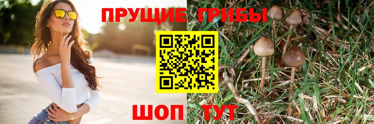Псилоцибиновые грибы MAGIC MUSHROOMS  Вход с VPN  Алушта 